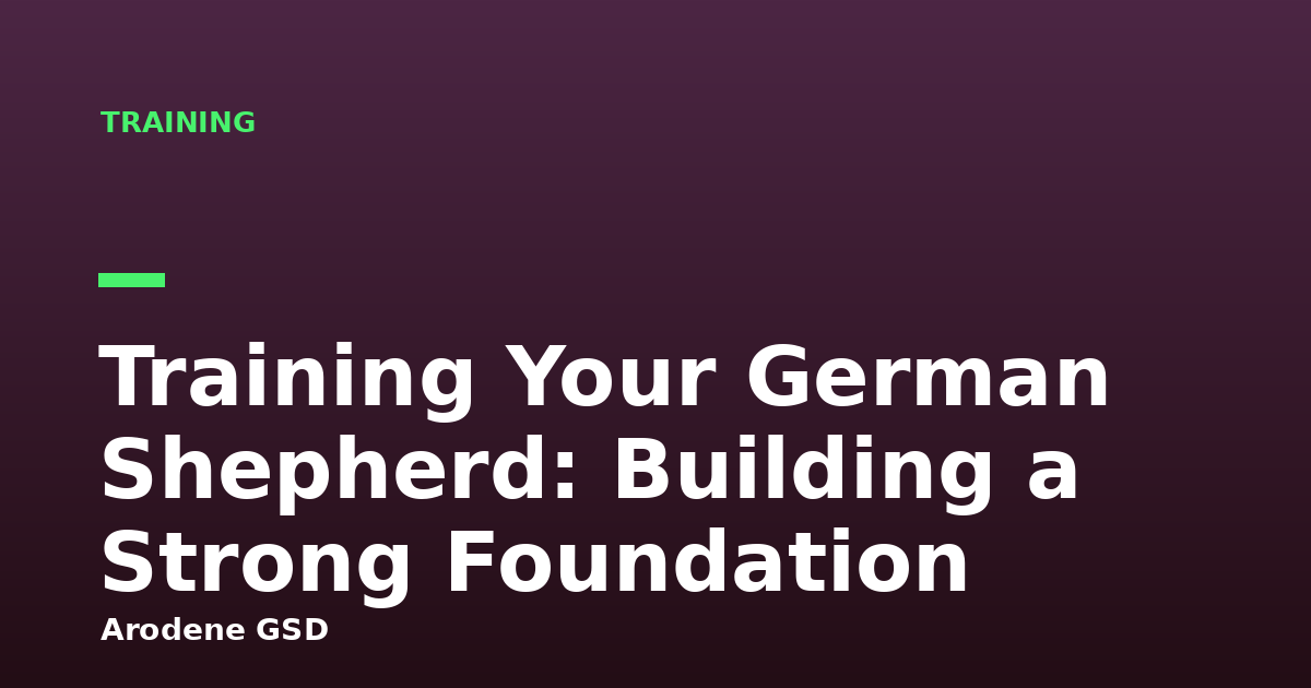 Training Your German Shepherd: Building a Strong Foundation
